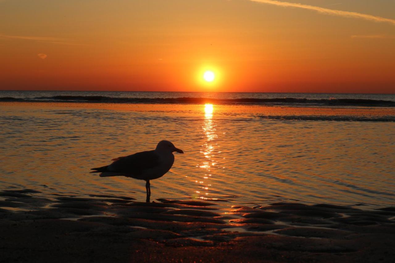 Sea More Zandvoort Luaran gambar